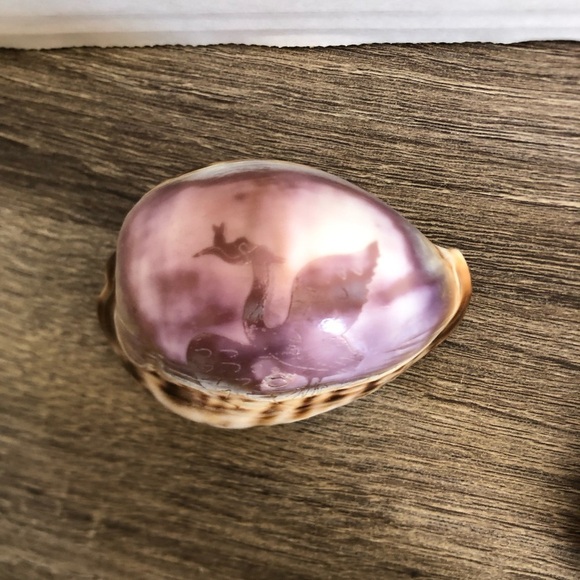 Vtg Hand Carved Cowrie Seashells with Intricate Designs - Picture 3 of 12